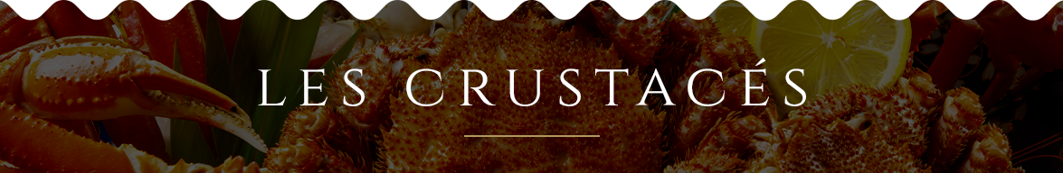 Plateaux sur mesure - A emporter - L'Ostrea - restaurant TOULON - meilleur restaurant TOULON