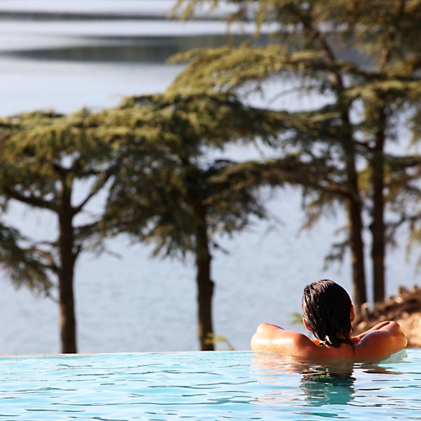 Repas de groupe - L'Ostrea - restaurant TOULON