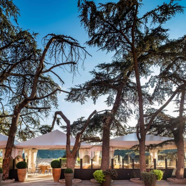 Repas de groupe - L'Ostrea - restaurant TOULON