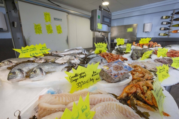 Galerie photos - L'Ostrea - Restaurant - Poissonnerie Toulon