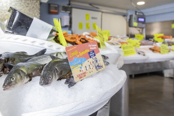 Galerie photos - L'Ostrea - Restaurant - Poissonnerie Toulon